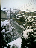 060121_snow1.JPG