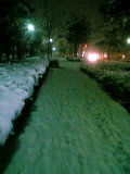 060121_snow2.JPG