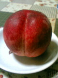 060805_peach.jpg